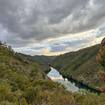 فندق Glamping Do Ze Cernache do Bonjardim المظهر الخارجي الصورة