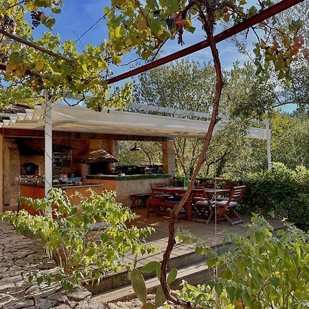 فندق Glamping Do Ze Cernache do Bonjardim المظهر الخارجي الصورة