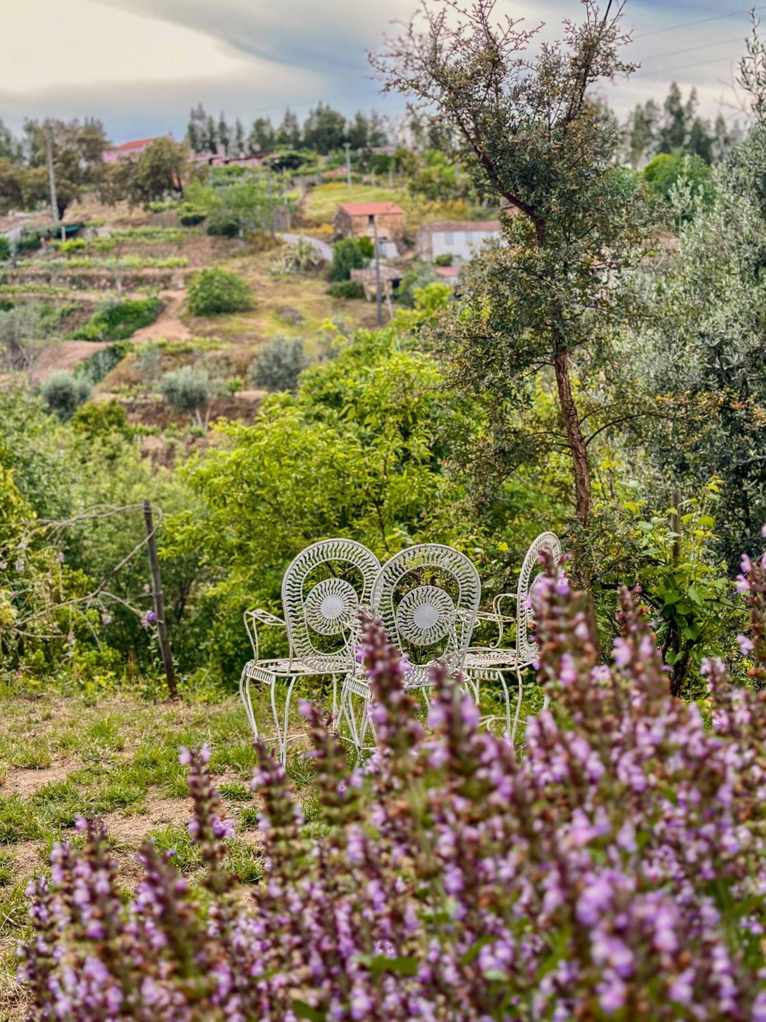فندق Glamping Do Ze Cernache do Bonjardim المظهر الخارجي الصورة