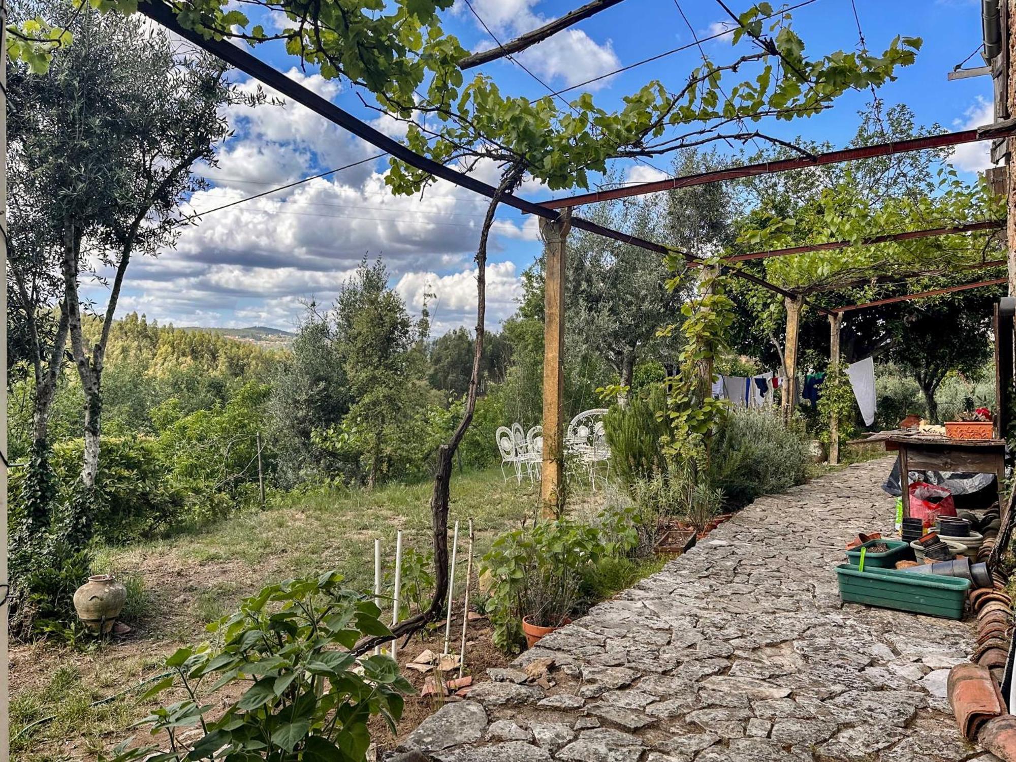فندق Glamping Do Ze Cernache do Bonjardim المظهر الخارجي الصورة
